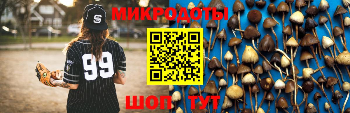 магазин  наркотиков  Вход с VPN  Псилоцибиновые грибы MAGIC MUSHROOMS  Выборг  Псилоцибиновые грибы мухоморы 